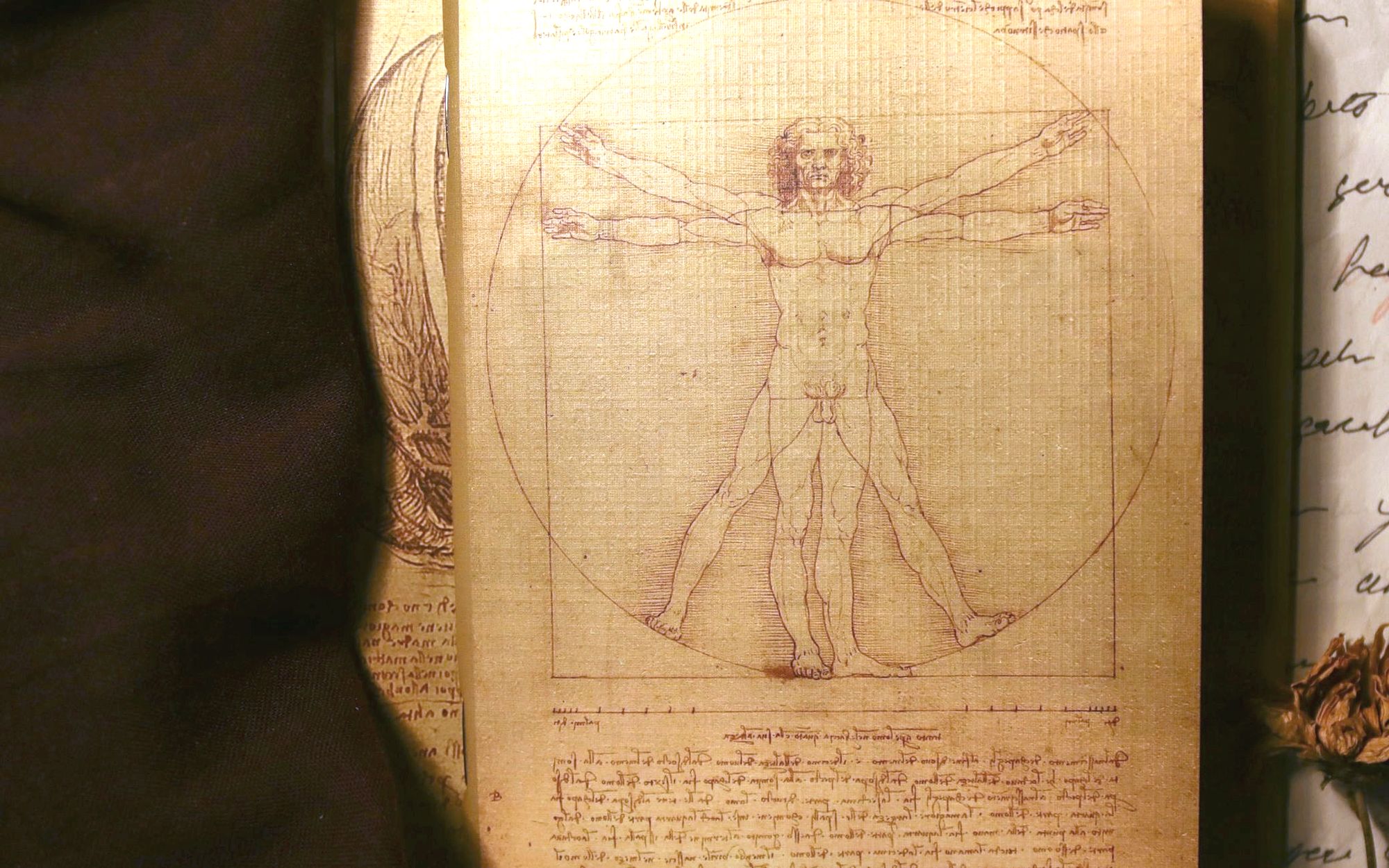 An open notebook showing a drawing of the Vitruvian Man, beside handwritten pages and dried flowers